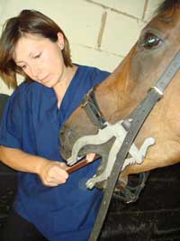 Olivia Farrier - Equine Dental Technician